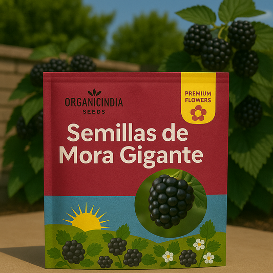 Floral® / Semillas de mora gigante