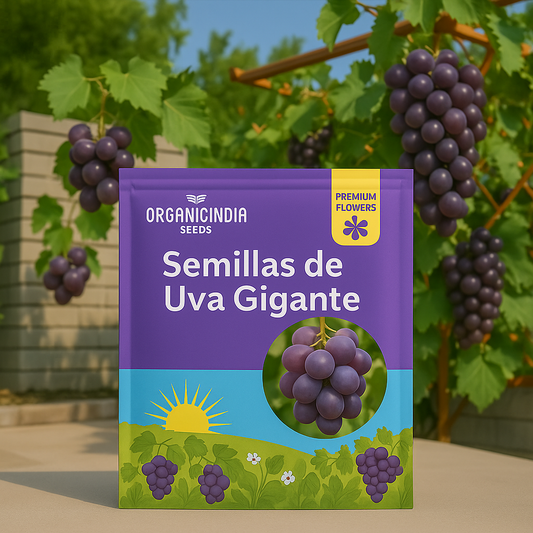 Floral® / Semillas de uva gigante